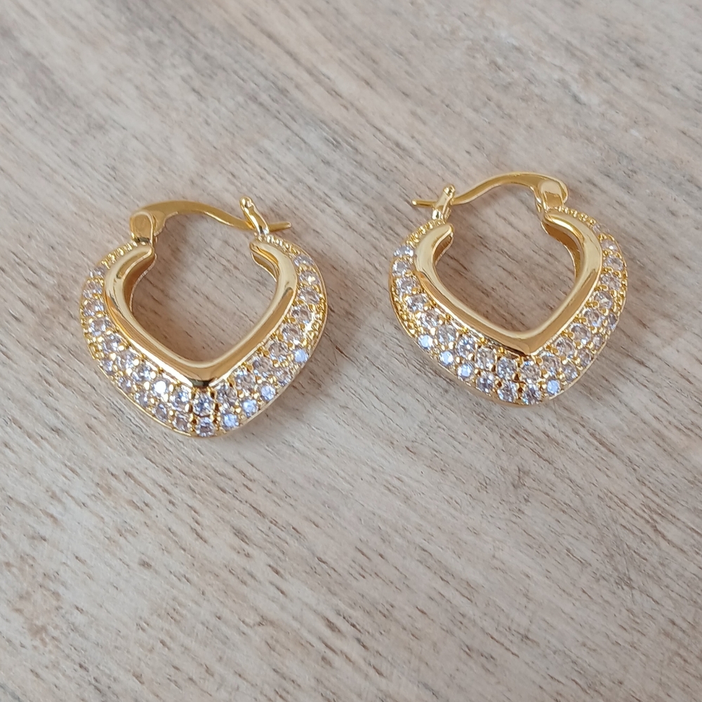 14k Gold Plated Zorion Hoop Earrings